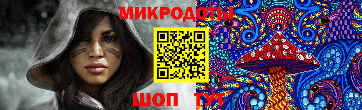 Кыштым  купить   Вход с VPN  Галлюциногенные грибы Psilocybine cubensis 